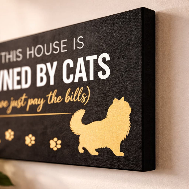Owned By Cats cat wall art in a living room