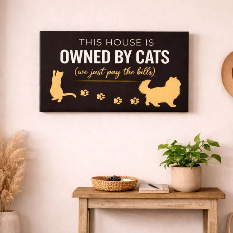 Owned By Cats canvas above an entryway bench, a gift for cat dads