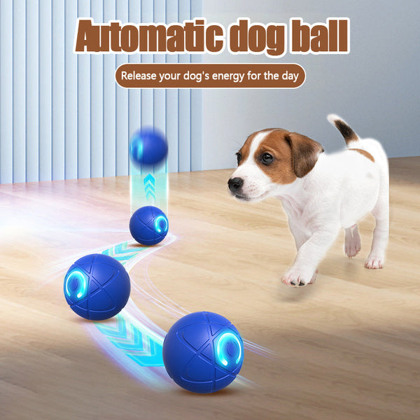 Pet Bounce Ball