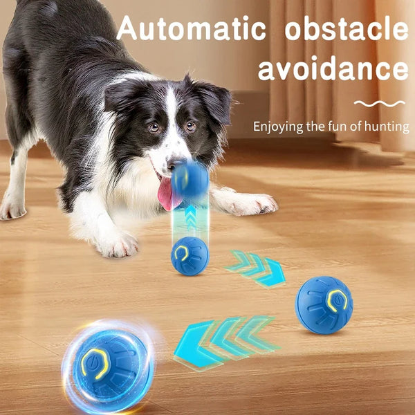 Dog playing with the interactive pet bounce ball