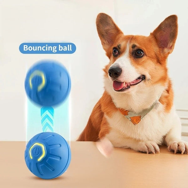 Pet bounce ball bouncing mode for carpets and lawns