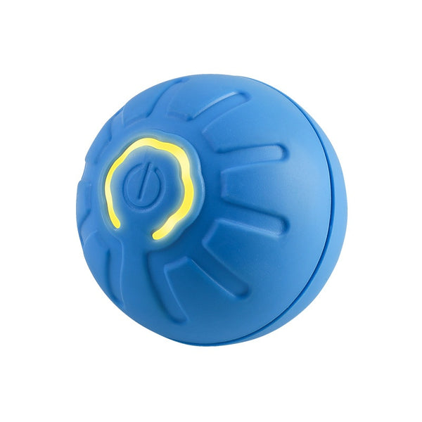 Cat chasing the moving pet bounce ball