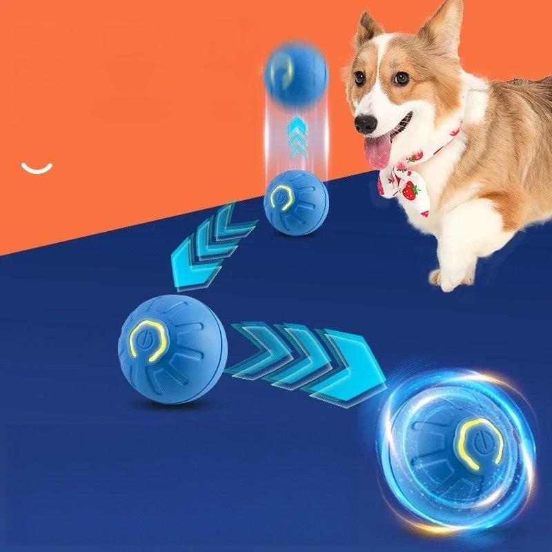 Pet Bounce Ball
