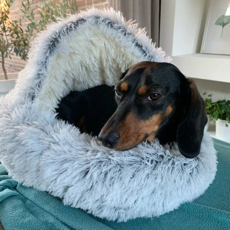 Plush Fluffy Pet Bed