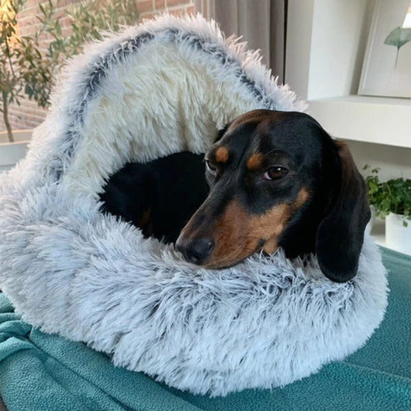 Cozy hooded cat bed in a home setting