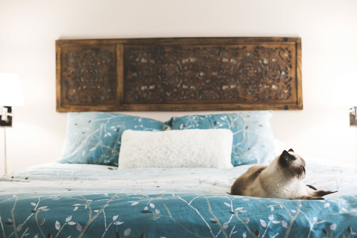 Cat relaxing on a bed in a cozy bedroom