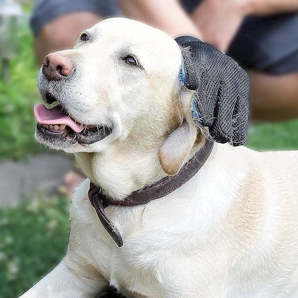 Hair Removal Glove for Pets