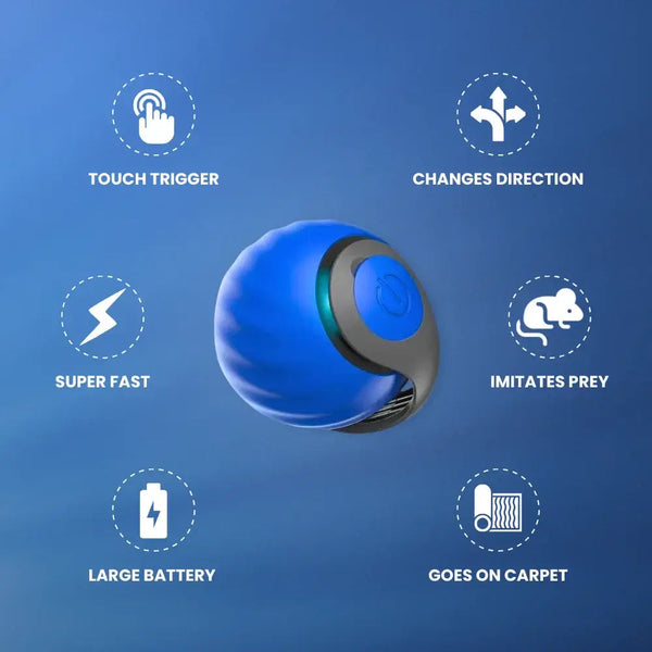 Speedy Tail 2.0 cat toy with quiet motor