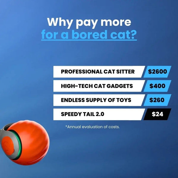 Speedy Tail 2.0 interactive toy for indoor cats